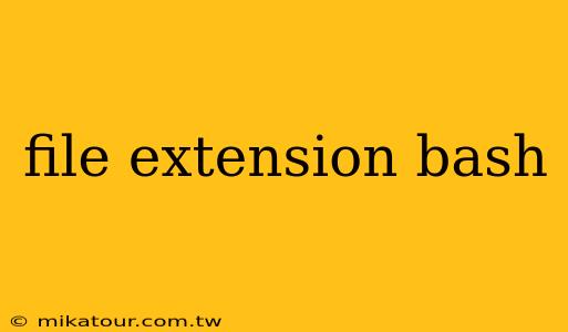 file extension bash