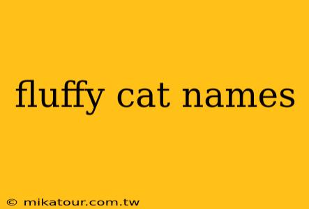 fluffy cat names