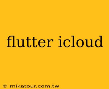 flutter icloud