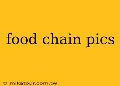 food chain pics