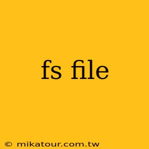 fs file