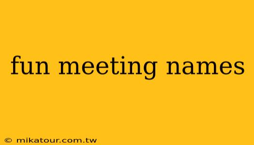 fun meeting names