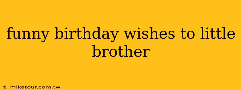 funny birthday wishes to little brother