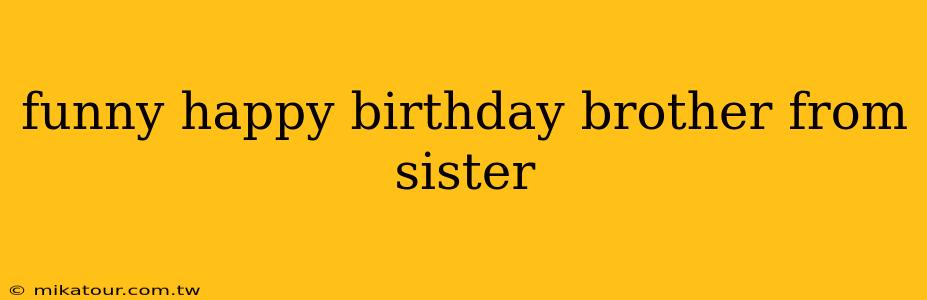 funny happy birthday brother from sister