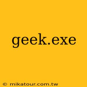 geek.exe