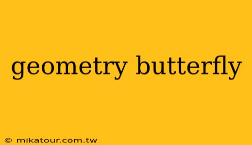 geometry butterfly