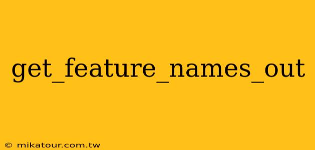 get_feature_names_out