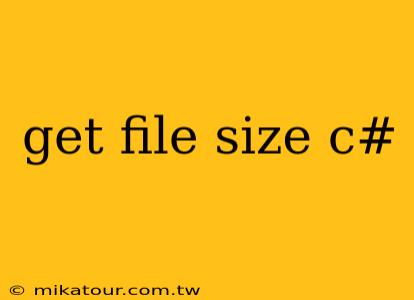 get file size c#