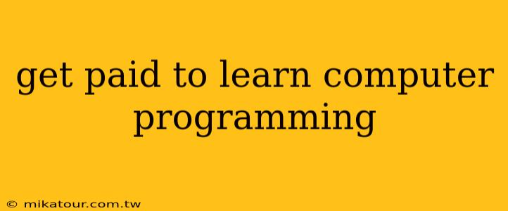 get paid to learn computer programming