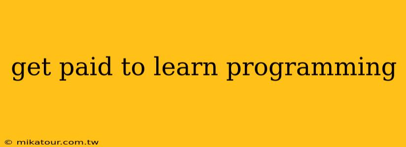 get paid to learn programming