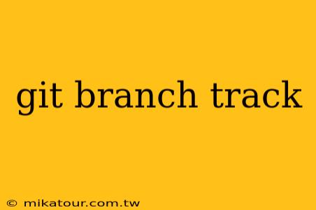 git branch track