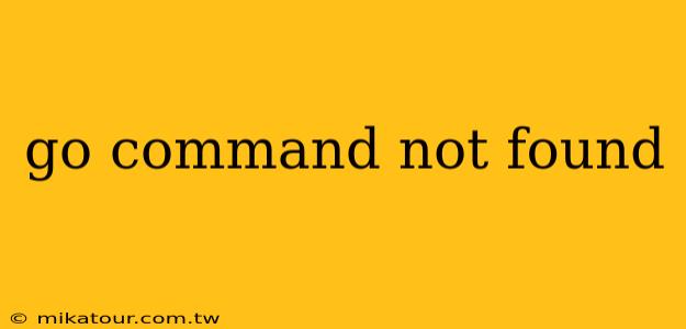 go command not found