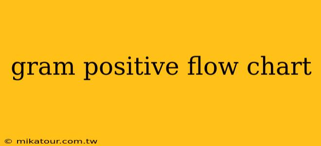 gram positive flow chart