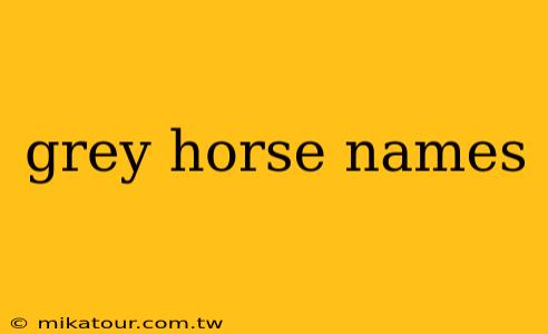 grey horse names