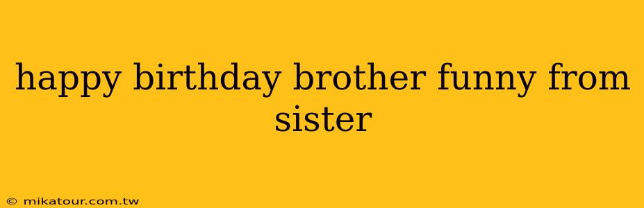 happy birthday brother funny from sister