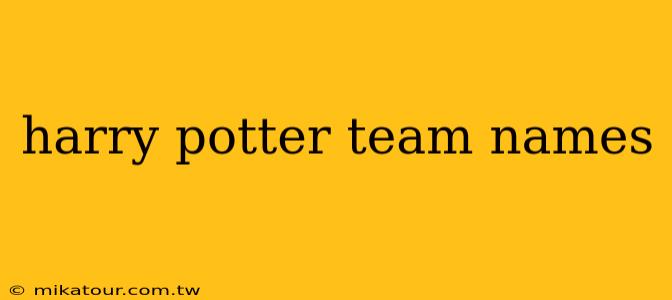 harry potter team names