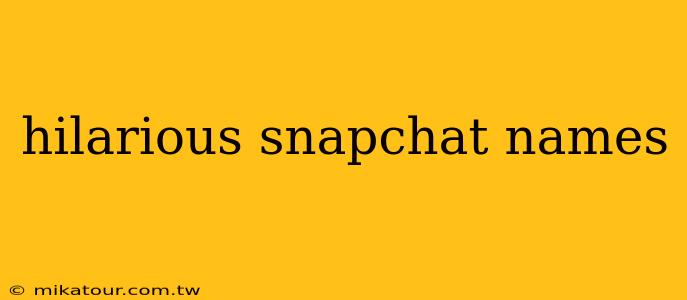 hilarious snapchat names