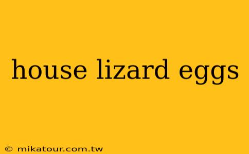 house lizard eggs