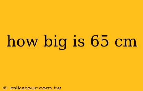 how big is 65 cm