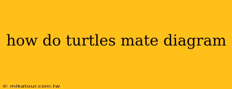 how do turtles mate diagram