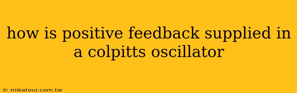 how is positive feedback supplied in a colpitts oscillator