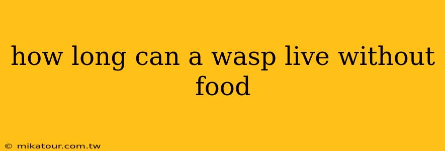 how long can a wasp live without food