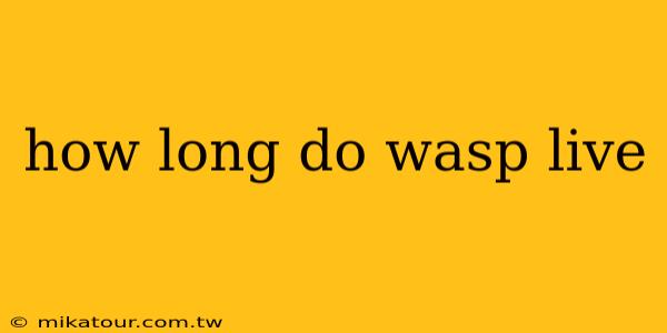 how long do wasp live