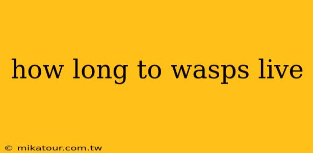 how long to wasps live