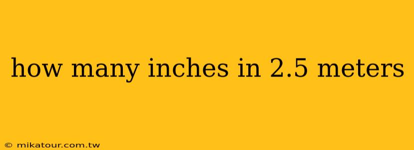 how many inches in 2.5 meters