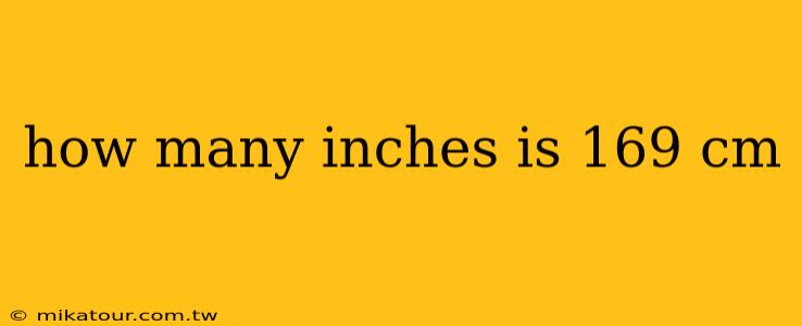 how many inches is 169 cm