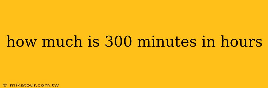 how much is 300 minutes in hours