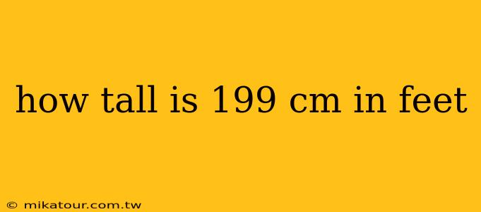 how tall is 199 cm in feet