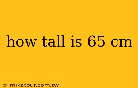 how tall is 65 cm