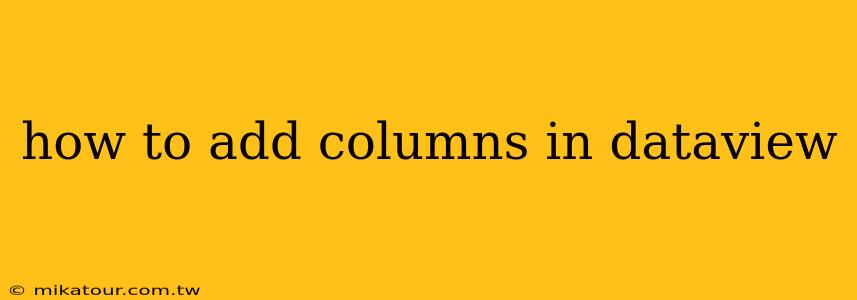 how to add columns in dataview