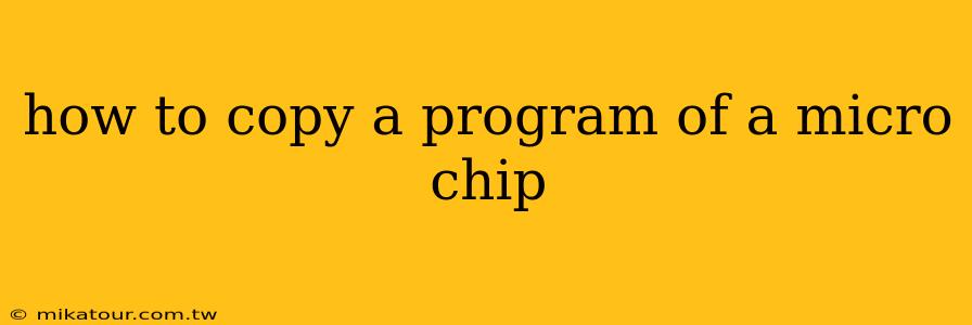 how to copy a program of a micro chip