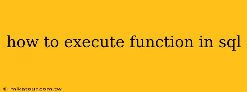 how to execute function in sql