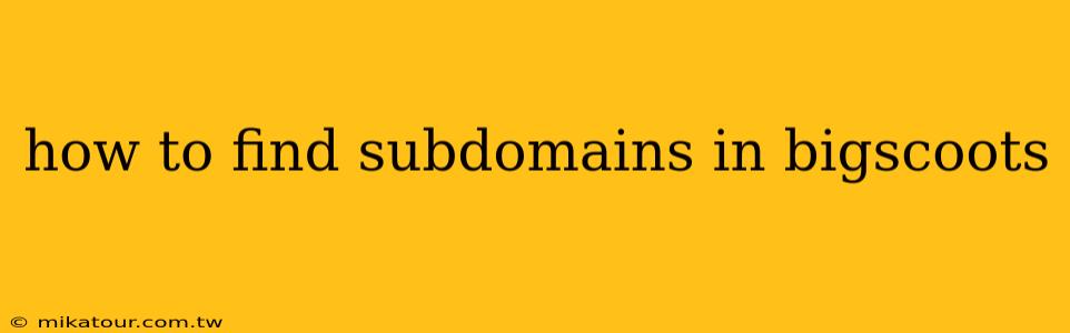 how to find subdomains in bigscoots