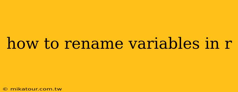 how to rename variables in r