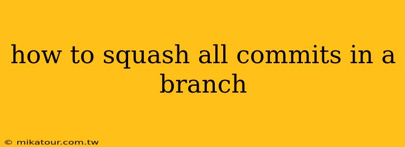 how to squash all commits in a branch