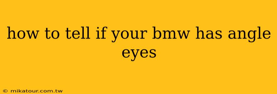 how to tell if your bmw has angle eyes