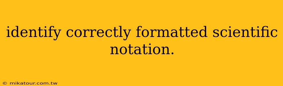 identify correctly formatted scientific notation.