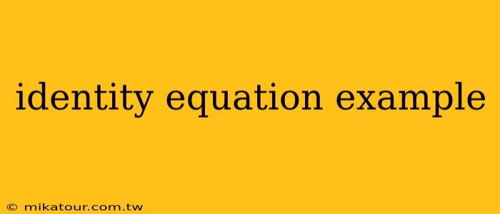 identity equation example