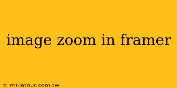 image zoom in framer