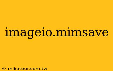 imageio.mimsave