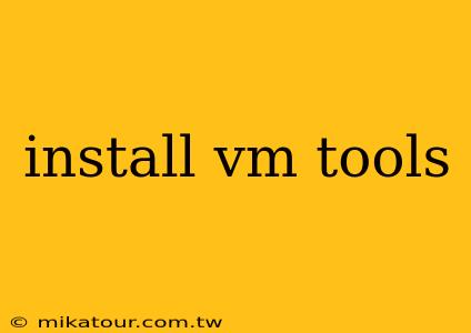 install vm tools