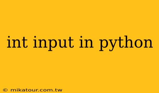 int input in python