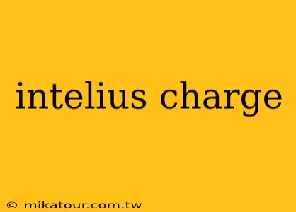 intelius charge