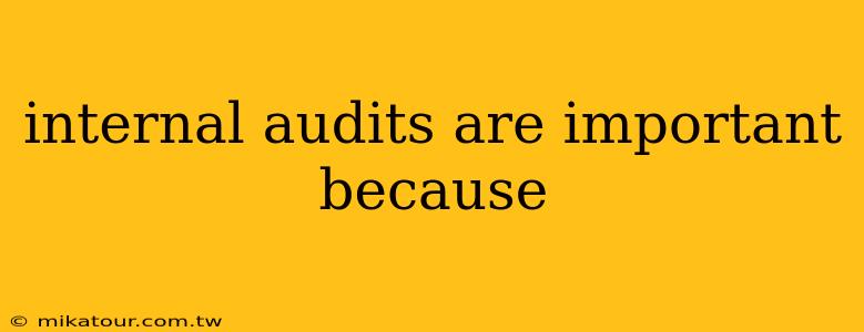 internal audits are important because