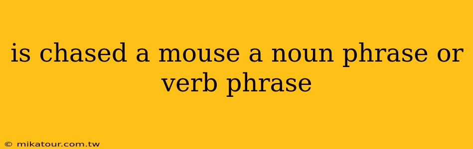 is chased a mouse a noun phrase or verb phrase