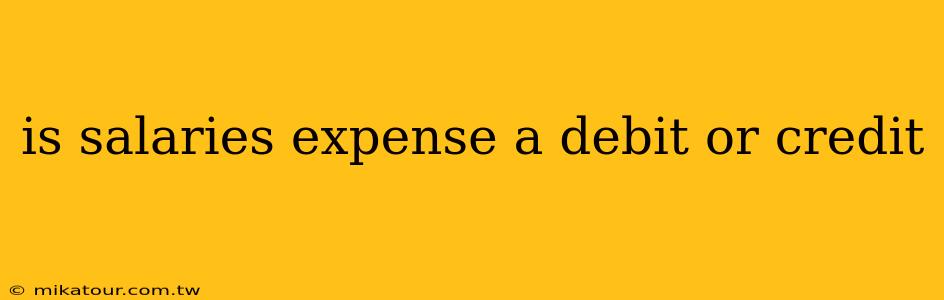 is salaries expense a debit or credit